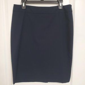 Jones New York Collection Stretch Skirt - Size 10